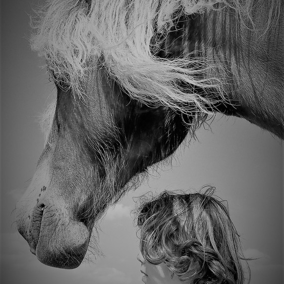 AU GALOP CONTRE LE CANCER
